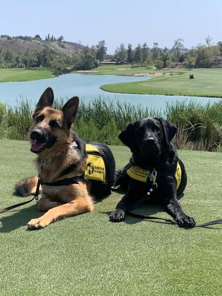 /Images/uploads/International Guiding Eyes Inc/gdapawsitivitycalendar/entries/20781thumb.jpg